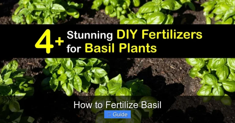 How to Fertilize Basil