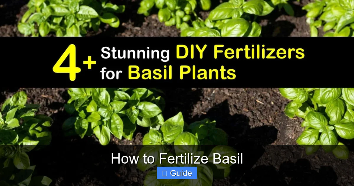 How to Fertilize Basil