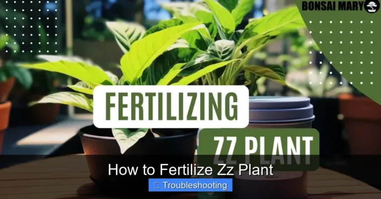 How to Fertilize Zz Plant