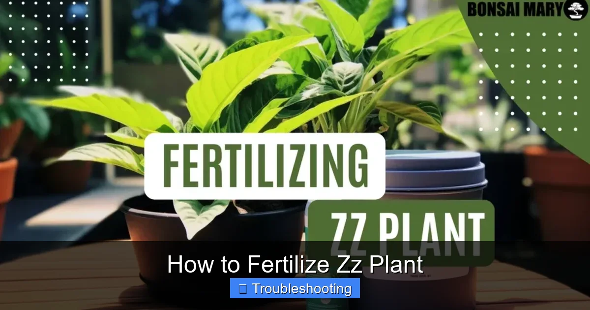 How to Fertilize Zz Plant