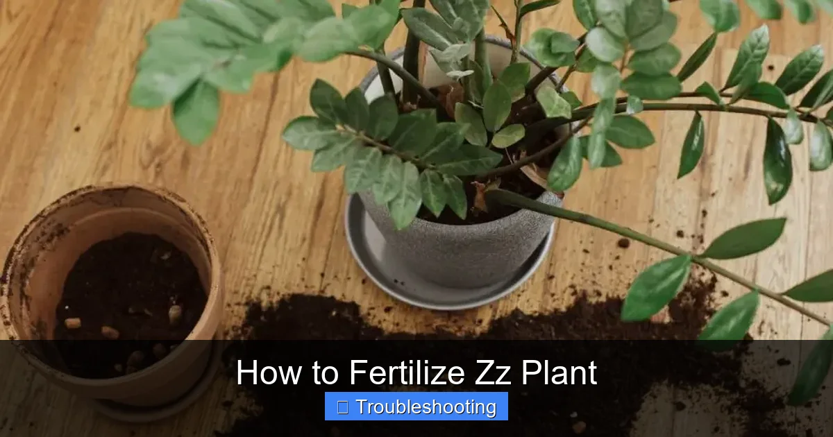 How to Fertilize Zz Plant