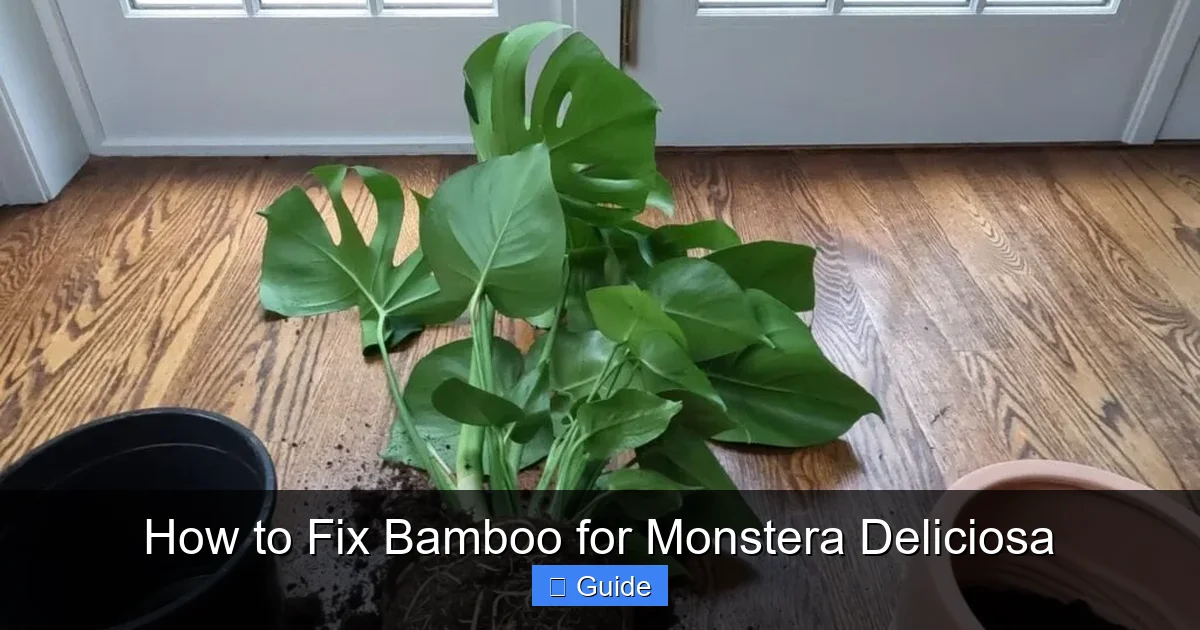 How to Fix Bamboo for Monstera Deliciosa