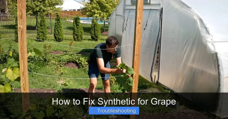 How to Fix Synthetic for Grape