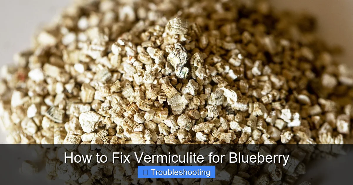 How to Fix Vermiculite for Blueberry