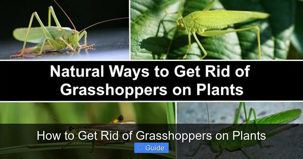 How to Get Rid of Grasshoppers on Plants