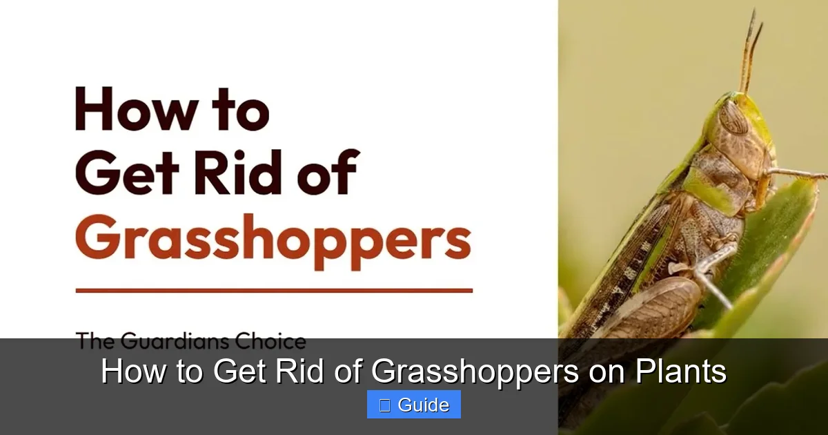 How to Get Rid of Grasshoppers on Plants