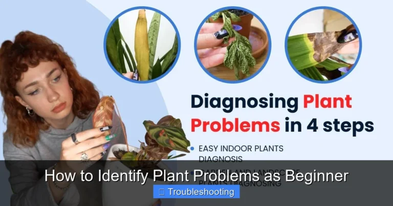 How to Identify Plant Problems as Beginner