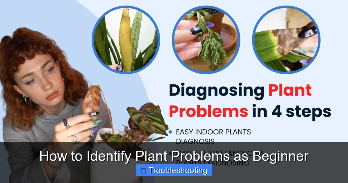 How to Identify Plant Problems as Beginner