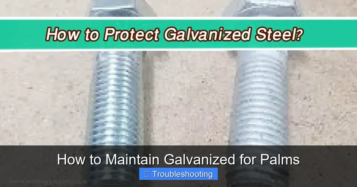 How to Maintain Galvanized for Palms