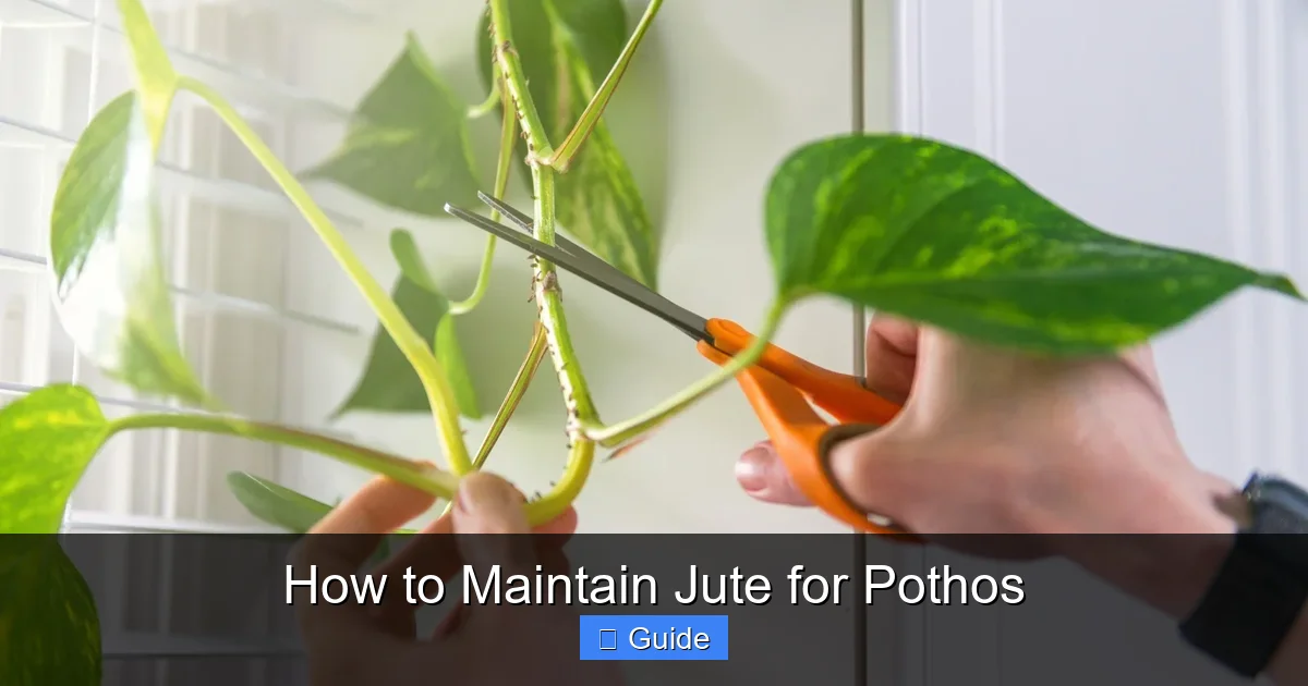 How to Maintain Jute for Pothos