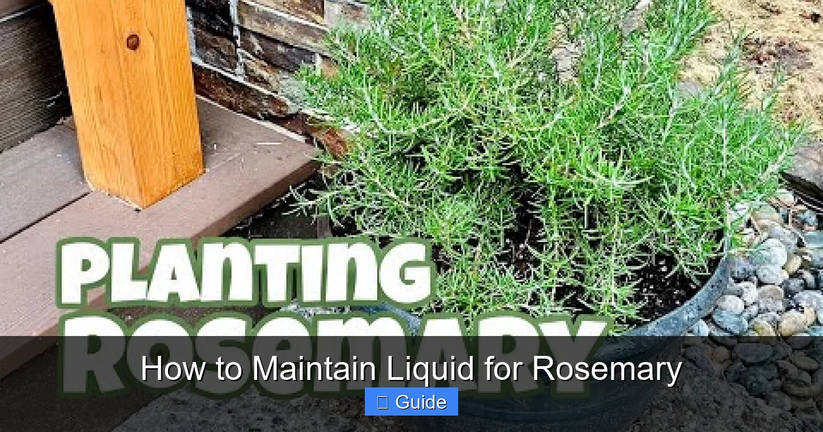 How to Maintain Liquid for Rosemary