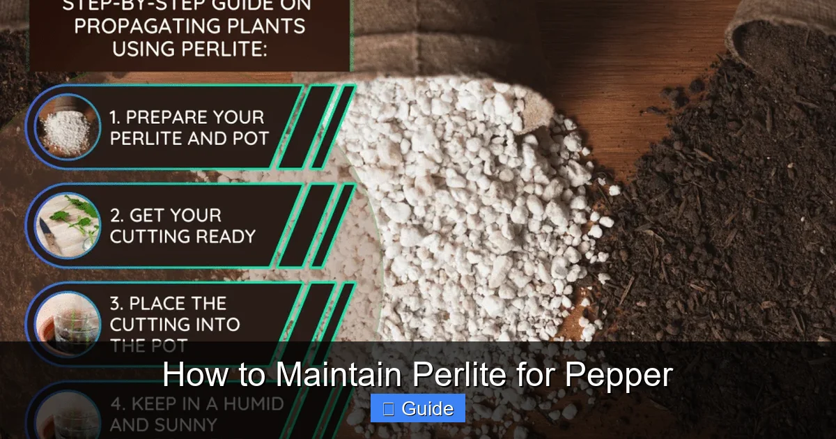 How to Maintain Perlite for Pepper