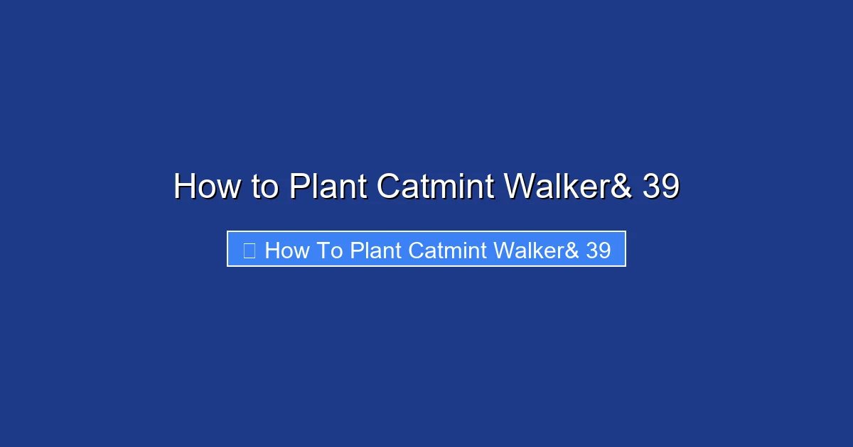 How to Plant Catmint Walker& 39