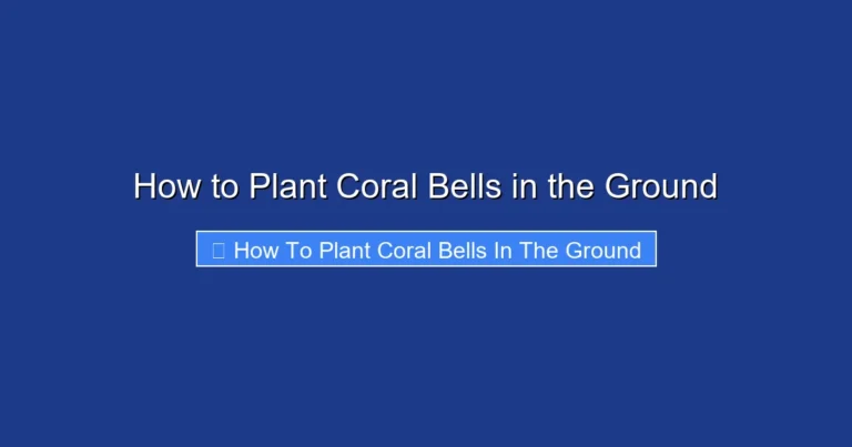 How to Plant Coral Bells in the Ground