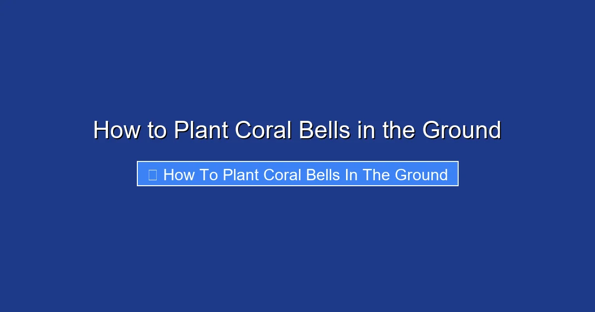 How to Plant Coral Bells in the Ground