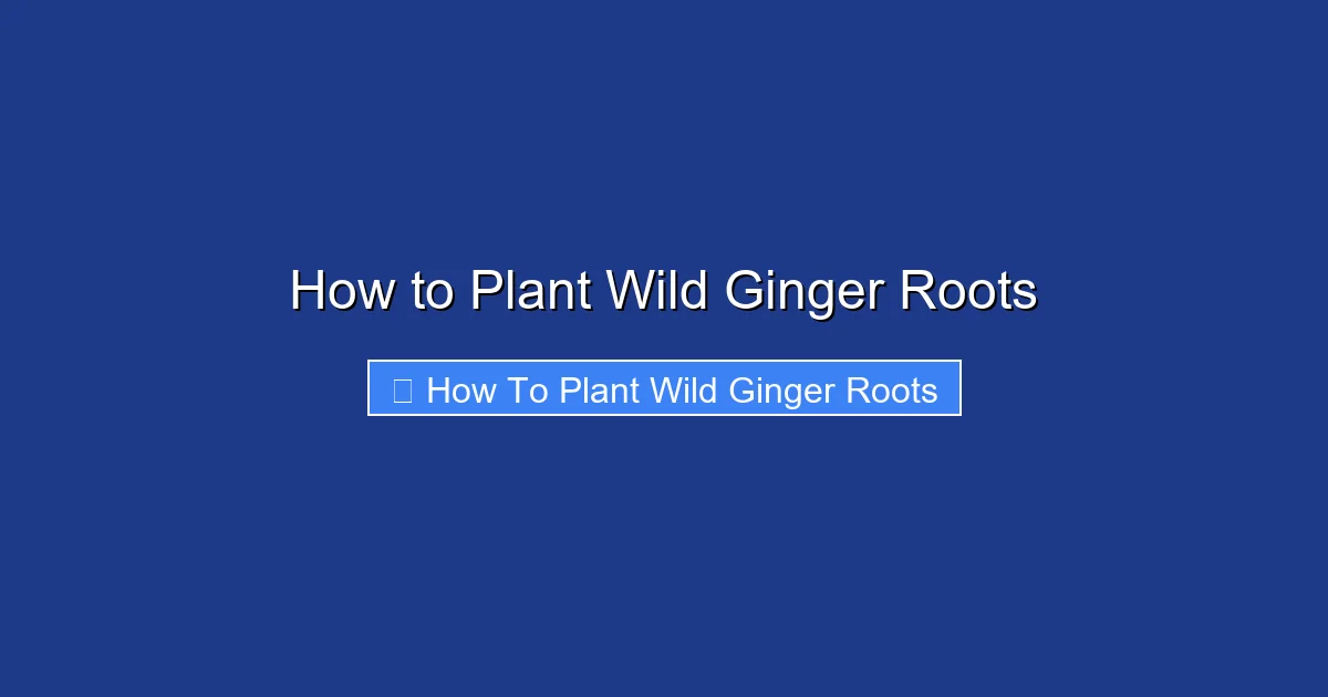 How to Plant Wild Ginger Roots