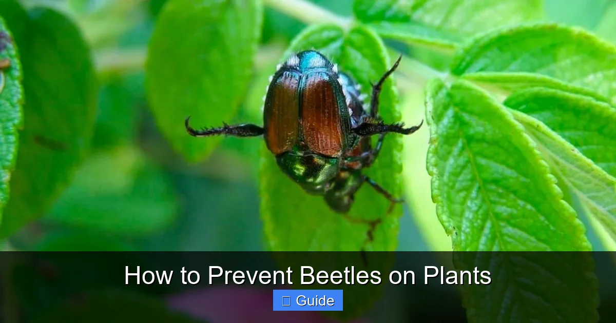 How to Prevent Beetles on Plants