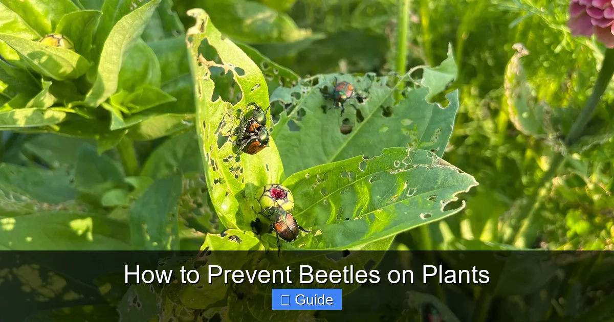 How to Prevent Beetles on Plants