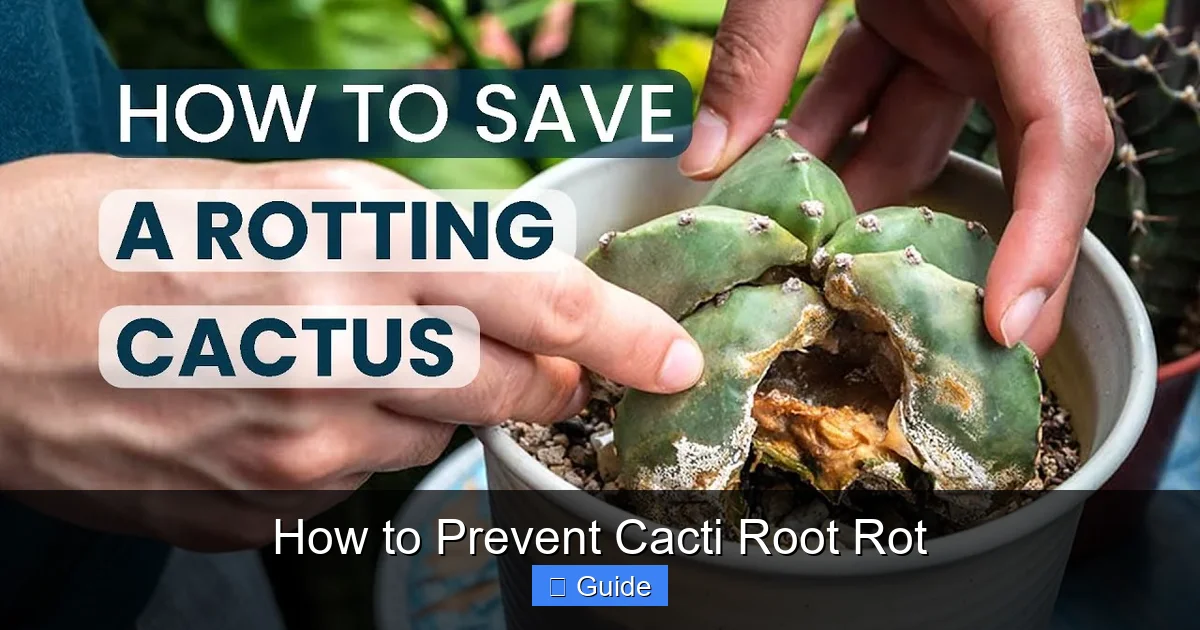 How to Prevent Cacti Root Rot