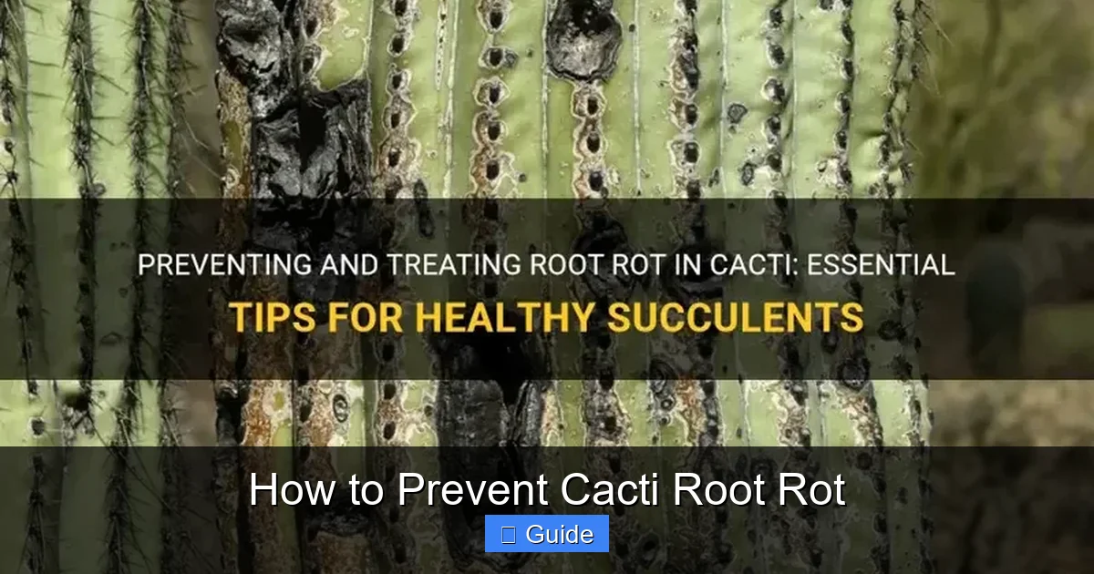 How to Prevent Cacti Root Rot
