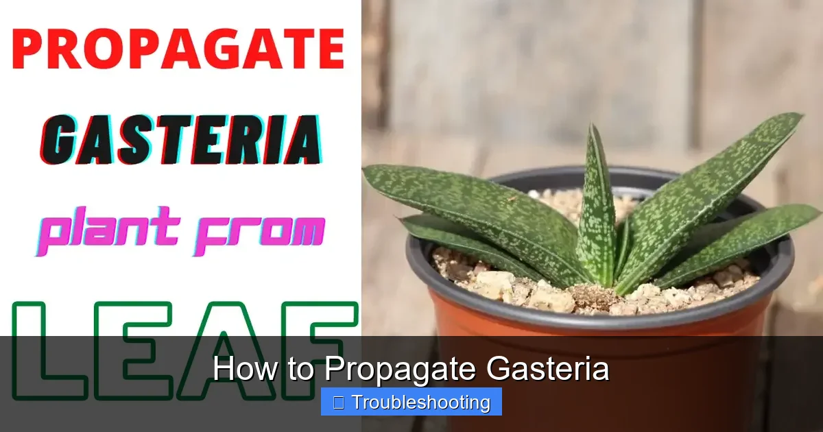 How to Propagate Gasteria
