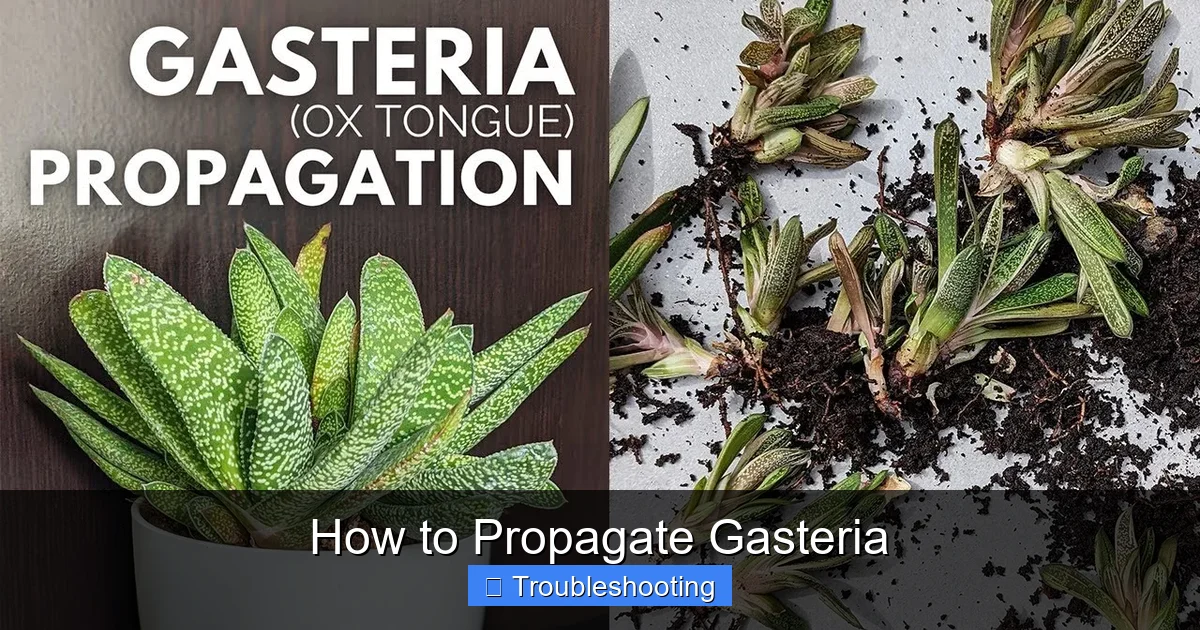 How to Propagate Gasteria