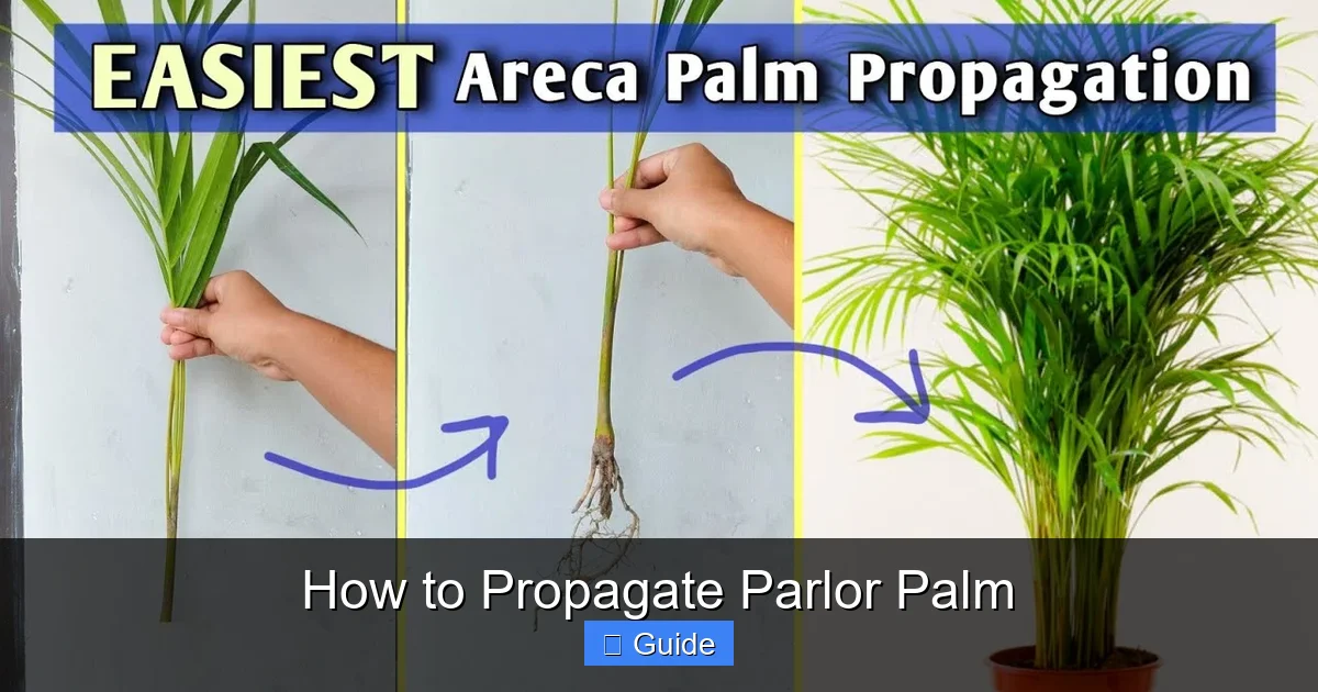How to Propagate Parlor Palm