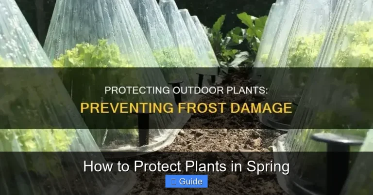 How to Protect Plants in Spring