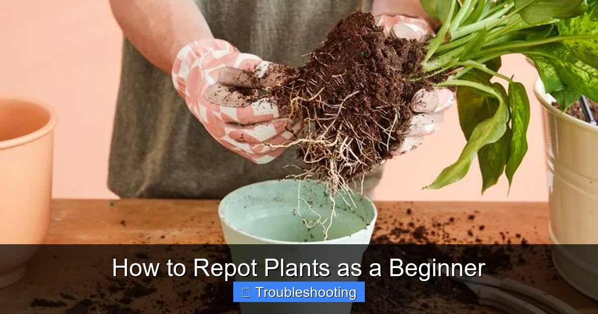 How to Repot Plants as a Beginner