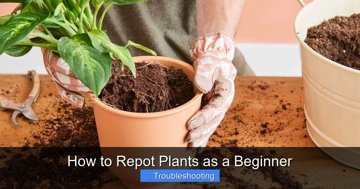 How to Repot Plants as a Beginner