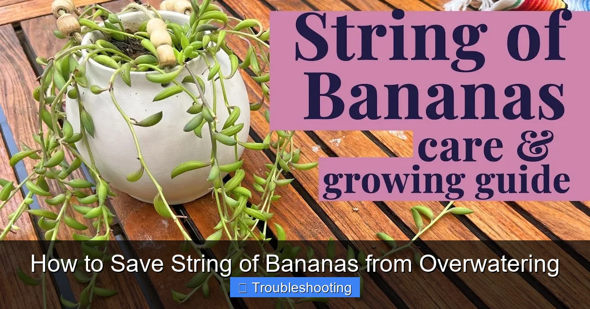 How to Save String of Bananas from Overwatering