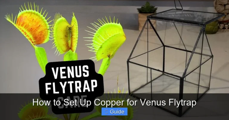 How to Set Up Copper for Venus Flytrap