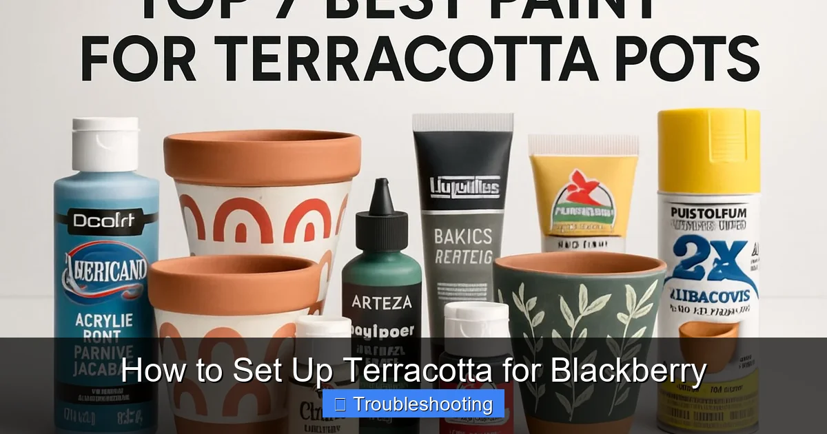How to Set Up Terracotta for Blackberry