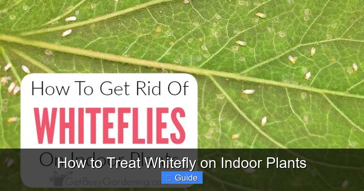 How to Treat Whitefly on Indoor Plants
