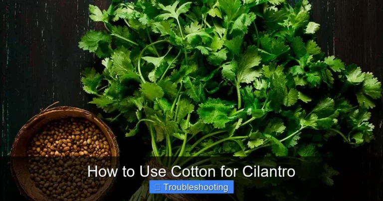 How to Use Cotton for Cilantro