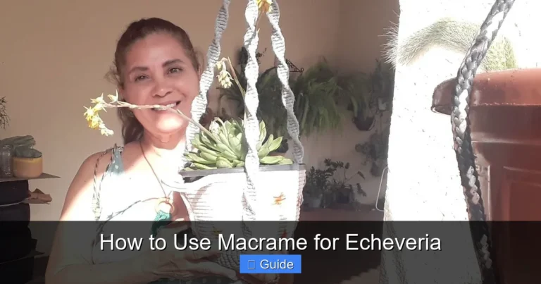 How to Use Macrame for Echeveria