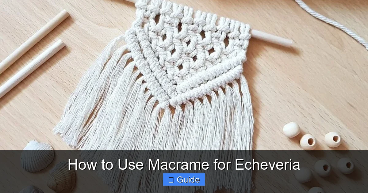 How to Use Macrame for Echeveria