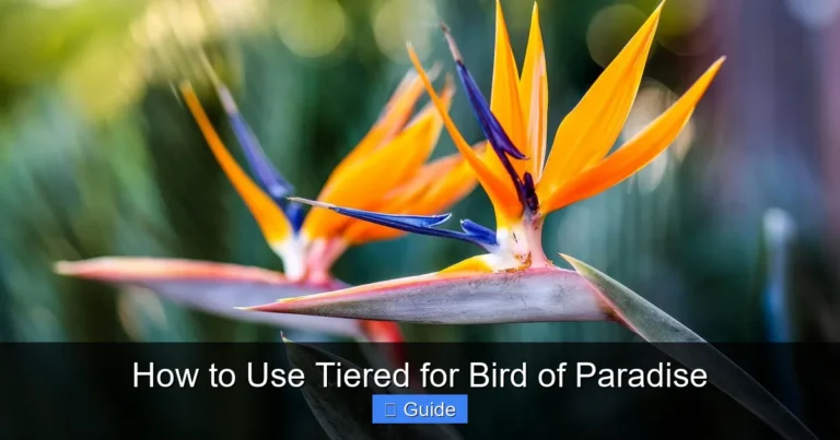 How to Use Tiered for Bird of Paradise