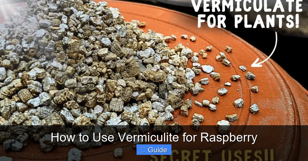 How to Use Vermiculite for Raspberry