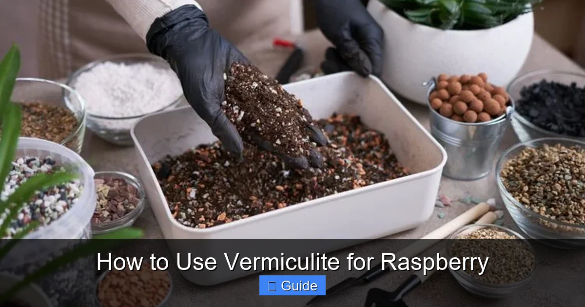 How to Use Vermiculite for Raspberry
