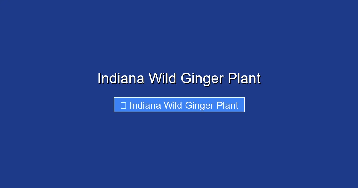 Indiana Wild Ginger Plant