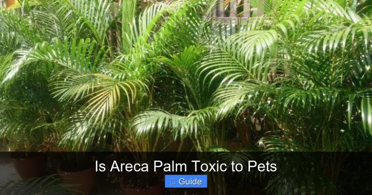 Is Areca Palm Toxic to Pets