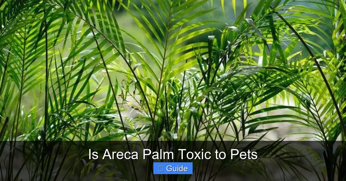Is Areca Palm Toxic to Pets