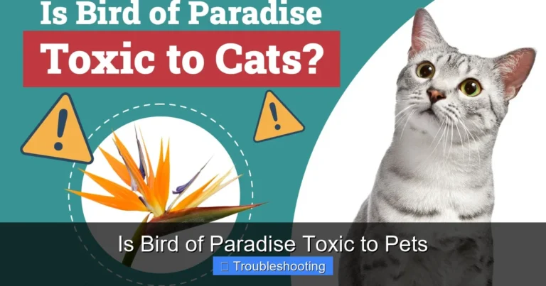 Is Bird of Paradise Toxic to Pets
