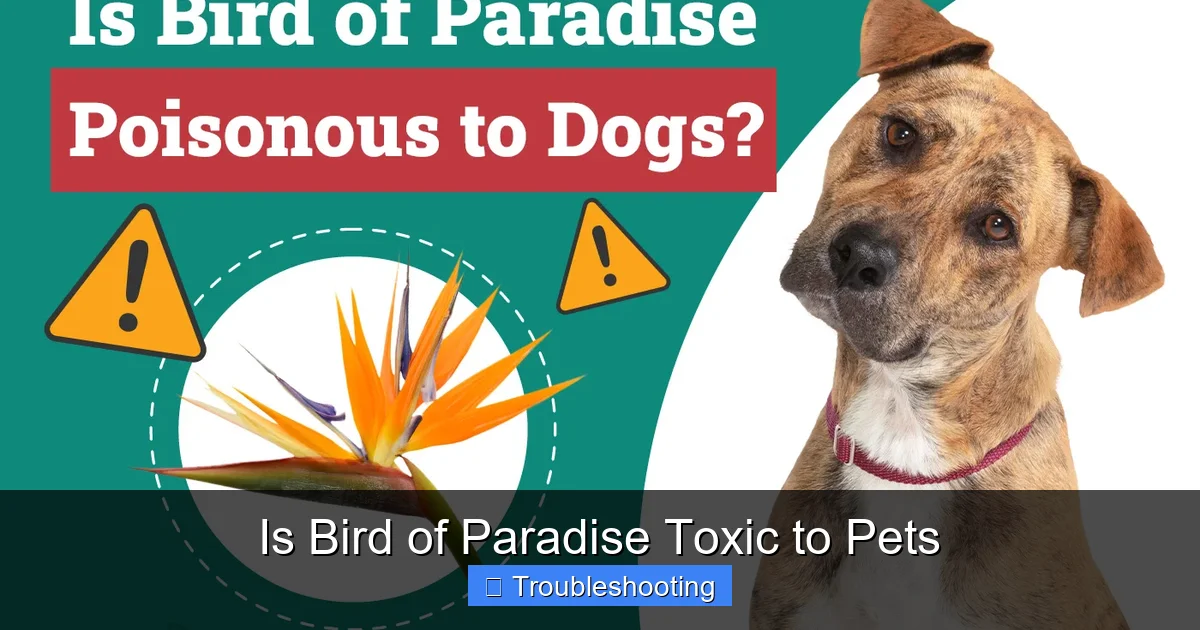 Is Bird of Paradise Toxic to Pets