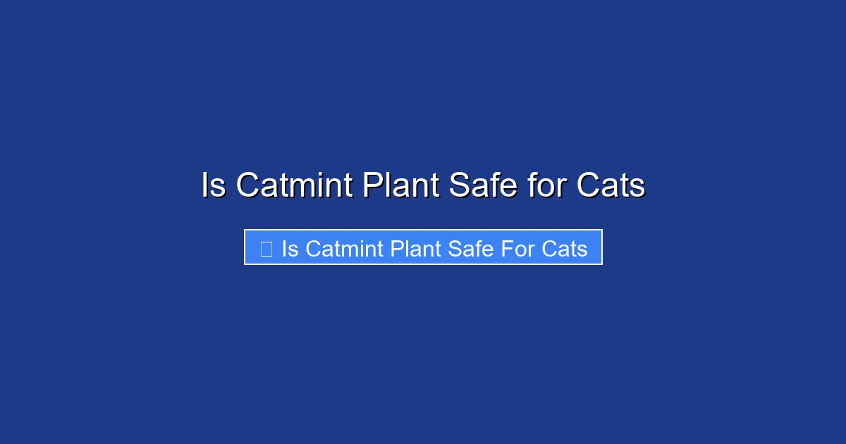Is Catmint Plant Safe for Cats
