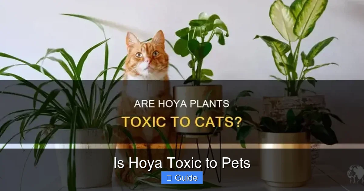 Is Hoya Toxic to Pets