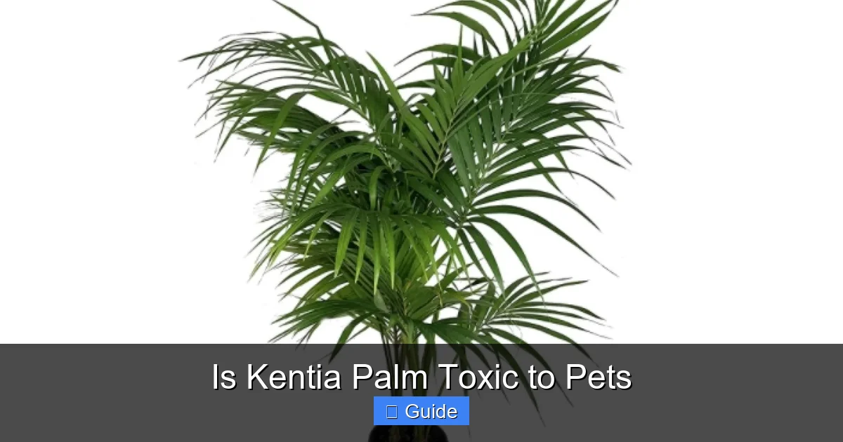 Is Kentia Palm Toxic to Pets