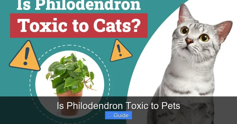 Is Philodendron Toxic to Pets
