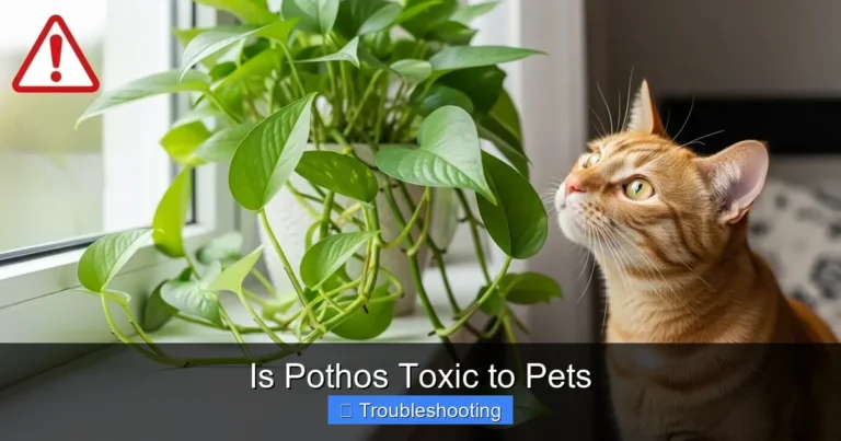 Is Pothos Toxic to Pets